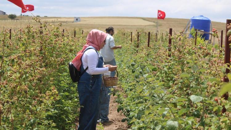 5 yıl önce kurdu şimdi talebe yetişemiyor Vatandaş eli boş dönüyor