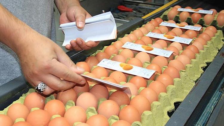 Ticaret Bakanlığı’ndan yumurta ihracatı kararı