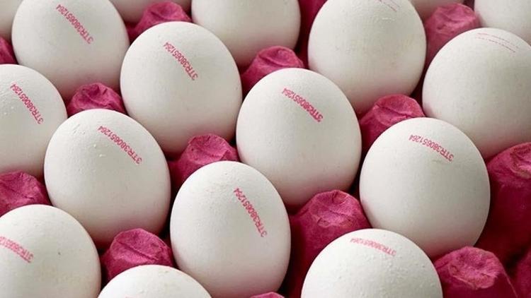 Yumurta satışında yeni dönem Resmen yürürlükte Yumurta satışında yeni dönem Resmen yürürlükte