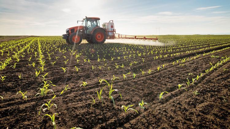 Tarımsal girdi fiyatları yüzde 31.80 yükseldi Tarımsal girdi fiyatları yüzde 31.80 yükseldi