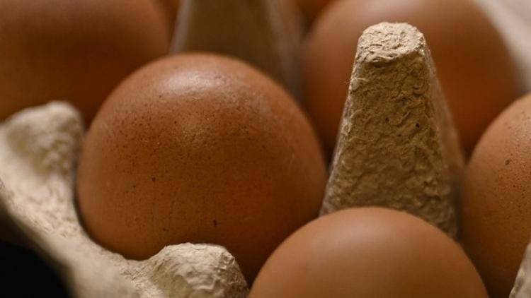 Yumurta ihracatında yeni dönem Kesinti kalktı Yumurta ihracatında yeni dönem Kesinti kalktı