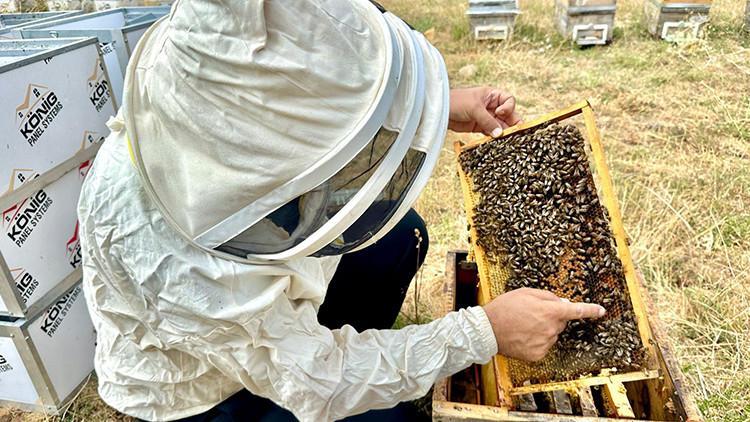 Coğrafi işaretli Munzur balına Londra’da altın madalya