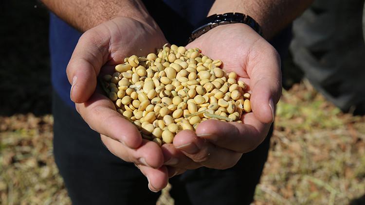 Çiftçilere ek ödeme desteği Bakanlık duyurdu Çiftçilere ek ödeme desteği Bakanlık duyurdu