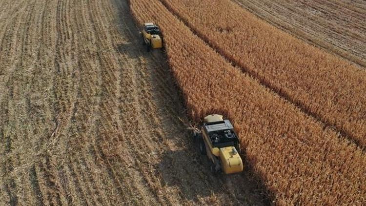 Yılın ilk 6 ayında çiftçilere 89,7 milyar ödeme yapıldı Yılın ilk 6 ayında çiftçilere 89,7 milyar ödeme yapıldı