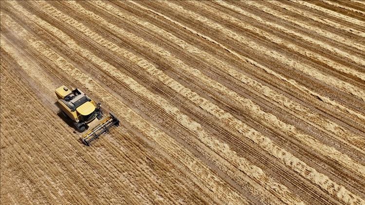 Türkiye’nin tarım envanteri çıkarılıyor: 450 bin çiftçi kayıt altına alındı Türkiye’nin tarım envanteri çıkarılıyor: 450 bin çiftçi kayıt altına alındı