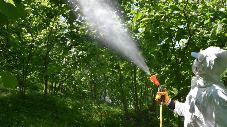 Bitki reçetesi geliyor Bakanlıktan pestisitleri önlemek için yeni uygulama