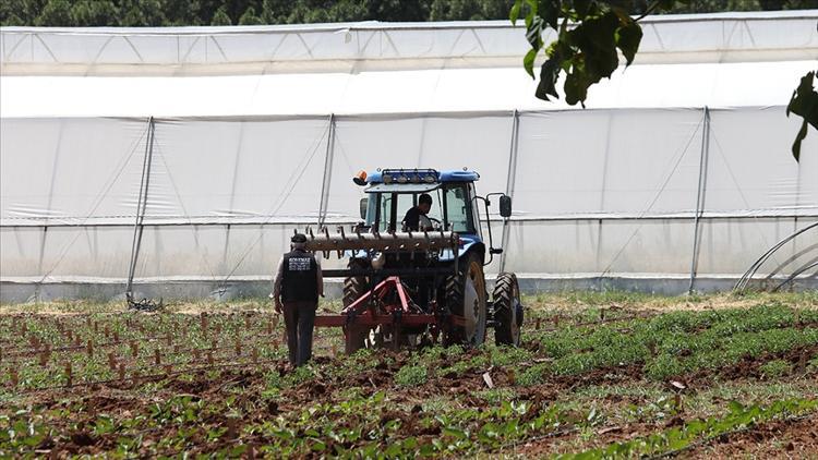 Tarım ithalatında yeni esaslar belirlendi