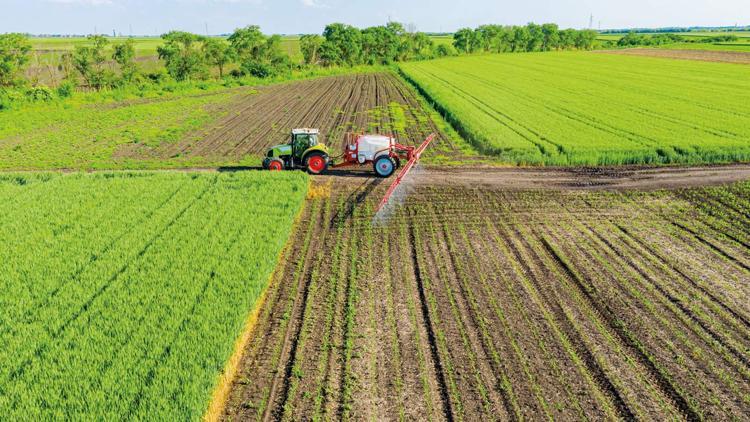 Hasat tarlada enflasyonu düşürdü