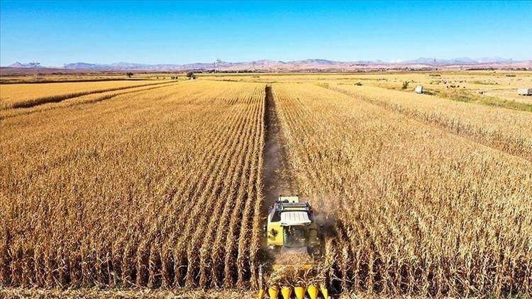 Tarım ÜFE ağustosta azaldı