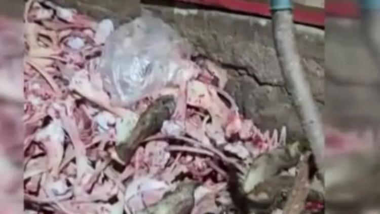 1,5 ton uygunsuz eti vatandaşa yedireceklerdi Yakayı ele verdiler