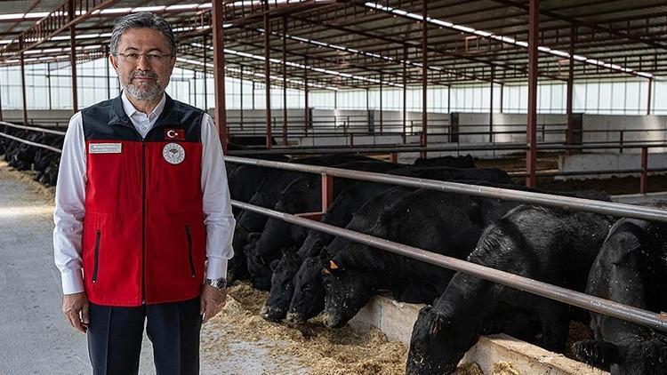 Bakan Yumaklı: Hayvan sayıları beklentinin üzerinde Bakan Yumaklı: Hayvan sayıları beklentinin üzerinde
