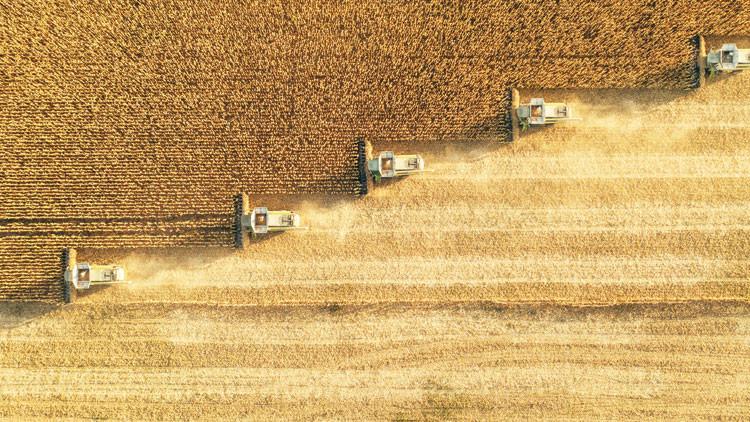 Tarımda iklim sınavı Tarımda iklim sınavı