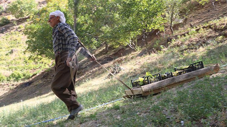 Kızakla gelen 11 diploma 80’lik dedenin azmi
