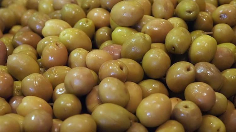 Sofralık zeytin ihracatında rekor kırıldı