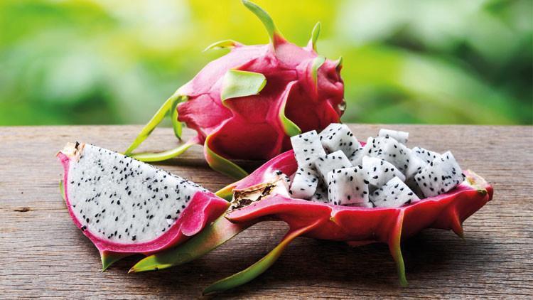 ‘Tropikal’in yeni üssü Alanya