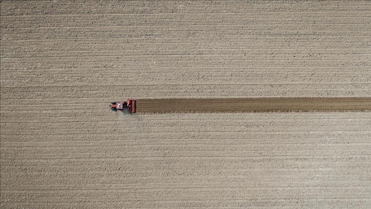Çiftçinin eylül ayı enflasyonu belli oldu