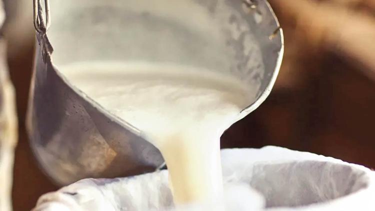 Sağlığımızla ısrarla oynuyorlar