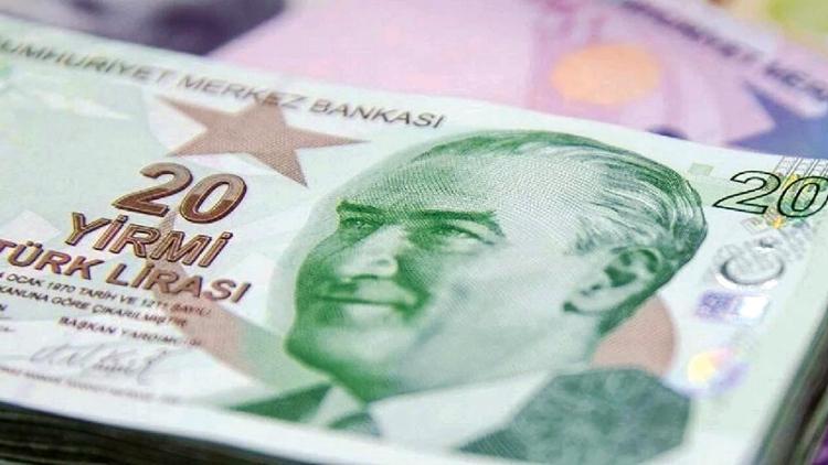 Yeni 20 TL’ler tedavüle girdi Yeni 20 TL’ler tedavüle girdi