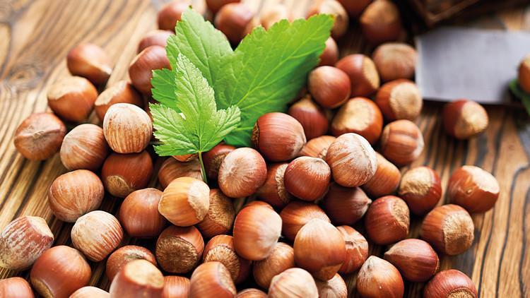 Fındık savaşı... Alımı durduran Ferrero’ya Rekabet Kurumu’ndan yanıt Fındık savaşı... Alımı durduran Ferrero’ya Rekabet Kurumu’ndan yanıt