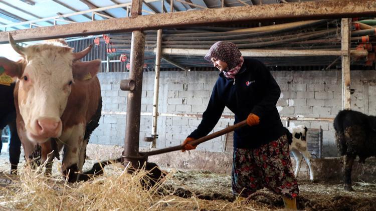 Çiftçiye müjde: Ödeme sayısı artıyor Çiftçiye müjde: Ödeme sayısı artıyor