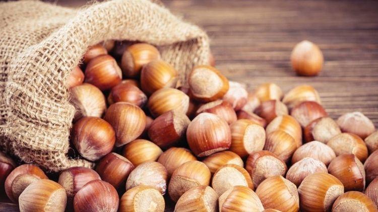 Fındıkta kriz büyüyor