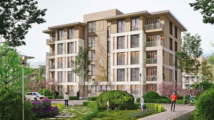 Sosyal konuta 3 milyon başvuru