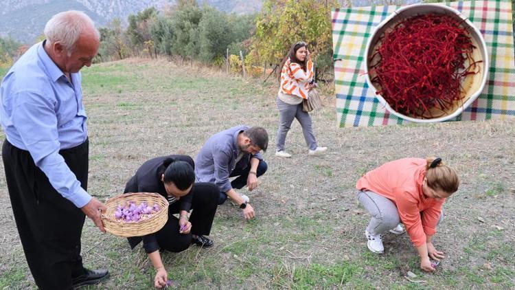 Kırmızı Altın kuraklığa yenildi, fiyatı dudak uçuklattı Dünyanın en pahalısı Kırmızı Altın kuraklığa yenildi, fiyatı dudak uçuklattı Dünyanın en pahalısı