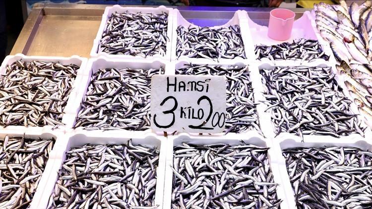 Trabzonda hamsinin kilosu 75 TL Trabzonda hamsinin kilosu 75 TL