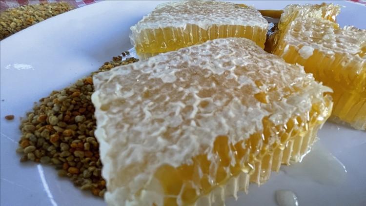 Yenice ıhlamur balına ABden coğrafi işaret onayı... Bakan Kacır ve Bakan Yumaklıdan açıklama Yenice ıhlamur balına ABden coğrafi işaret onayı... Bakan Kacır ve Bakan Yumaklıdan açıklama