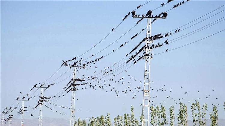 Dün günlük 903 bin 311 megavatsaatlik elektrik üretildi Dün günlük 903 bin 311 megavatsaatlik elektrik üretildi