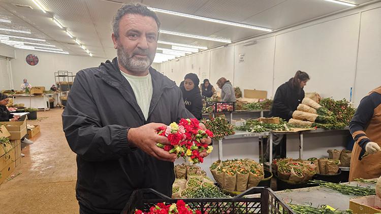 Türkiyeden Yunanistana özel çiçek Milyonlarca dolarlık gelir kapısı oldu