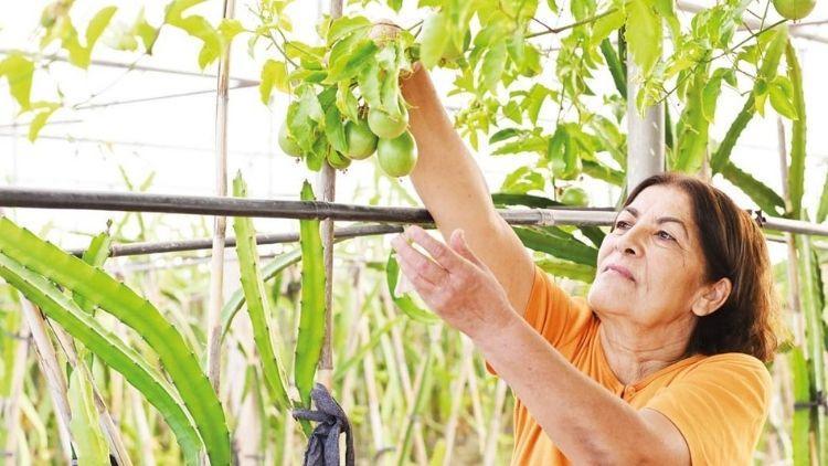 40 bin Çukurovalı cesur kadın