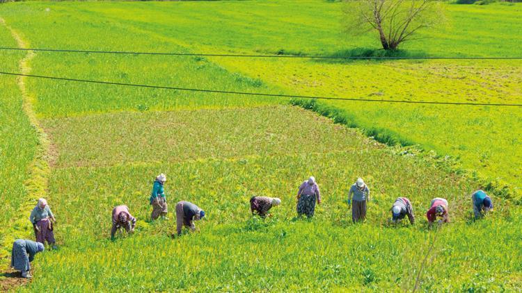 ‘Yerli üretim’ çağrısı
