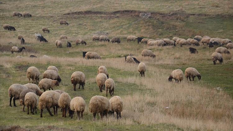 Halk Elinde Islah’a dev destek Halk Elinde Islah’a dev destek