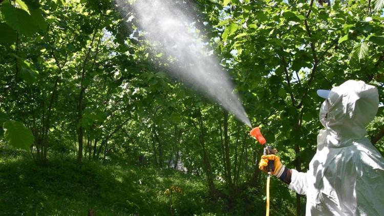 Zehirlenme vakaları sonrası yeni karar Artık zorunlu oldu Zehirlenme vakaları sonrası yeni karar Artık zorunlu oldu