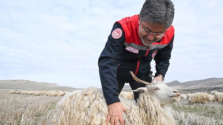 Tiftiğin ekonomiye kazandırılması için destek mekanizmaları geliştirilecek Tiftiğin ekonomiye kazandırılması için destek mekanizmaları geliştirilecek