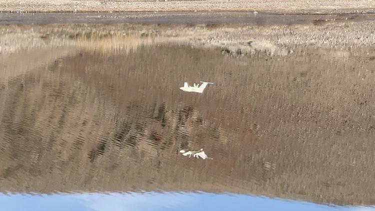 Görünmez, hızlı ve ölümcül Türk savunma sanayiinden bir ilk