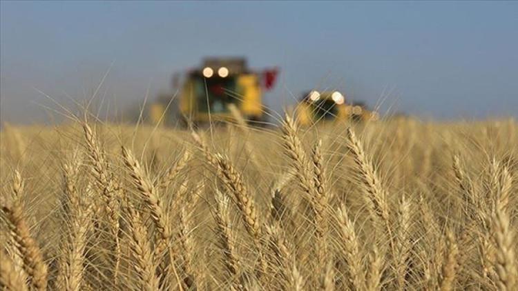 Tarımsal girdi fiyat endeksi ekimde arttı