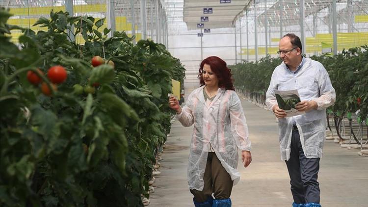 Milli Teknoloji Hamlesi’nin yeni cephesi: Akıllı tarım