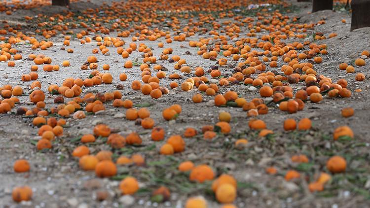 Çiftçi ücretsiz verdi, yüzüne bakan olmadı Toprak turuncuya döndü Çiftçi ücretsiz verdi, yüzüne bakan olmadı Toprak turuncuya döndü