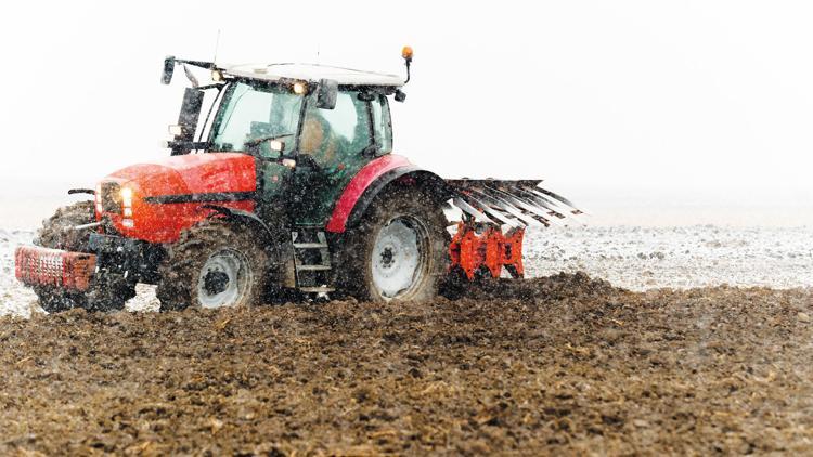 Tarımda iki farklı tablo... Yağmur pamuğu vurdu kar fındığı hasata hazırladı