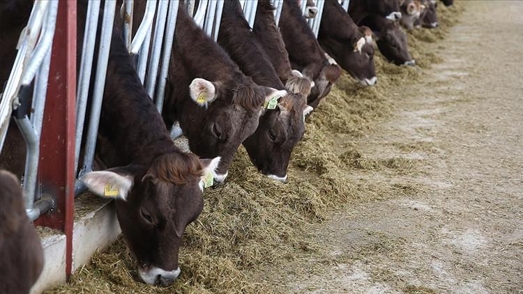 TÜRKİYEM-BİR’den fiyatlar için Ramazan ayı kararı TÜRKİYEM-BİR’den fiyatlar için Ramazan ayı kararı