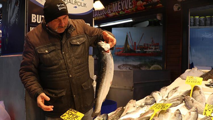 Tezgahlarda fiyatlar değişti İşte en ucuz balık çeşidi