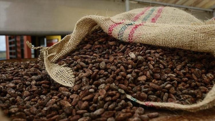 Türkiye, yetiştirmediği üründen 1,7 milyar dolar kazandı