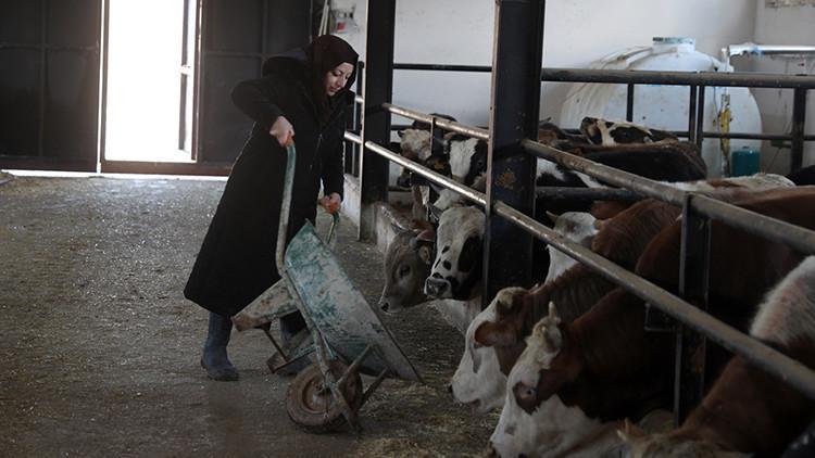Şehirden köye gurur veren dönüş Devlet desteği ile hayallerine kavuştu
