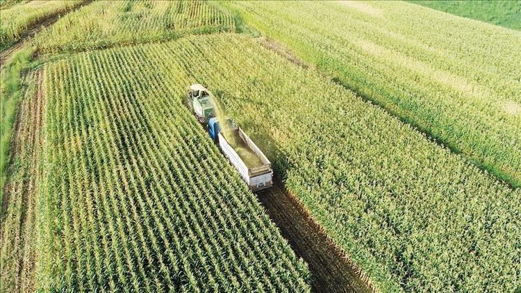 Tarımda iki önemli adım... Atıl araziler devreye alınıyor