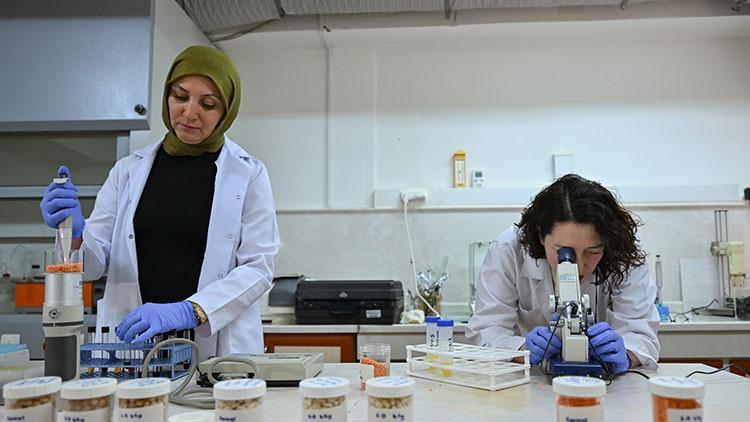 İcat çıkaran kazanacak Asgari ücretin 140 katına kadar ödeme