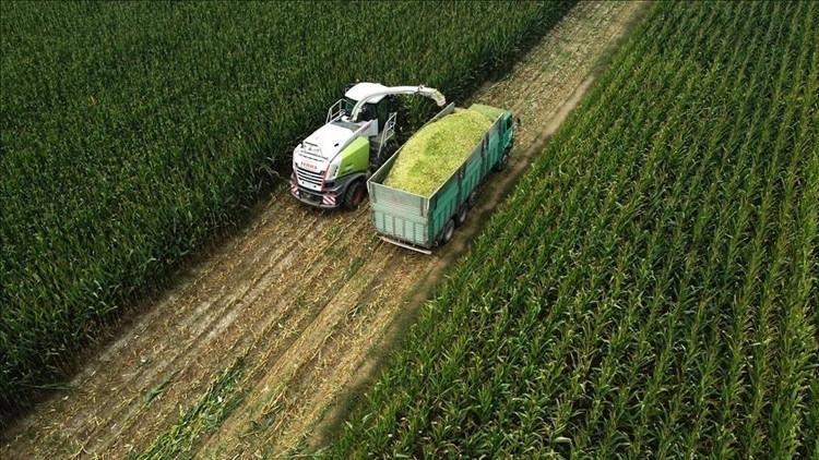 Tarım ÜFE şubatta aylık bazda yüzde 0,21 arttı