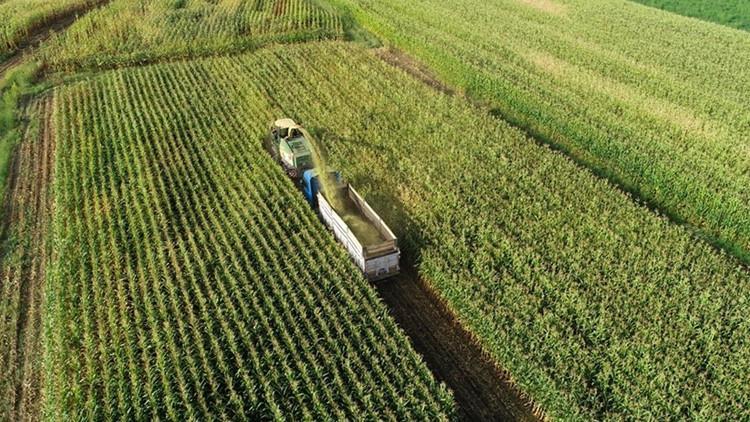 Tarımsal girdi fiyat endeksi ocakta arttı