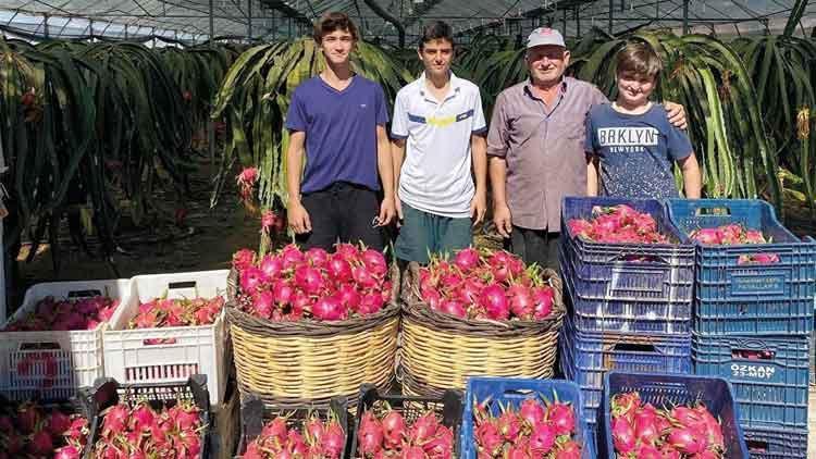 Seraları tropikal havası sardı